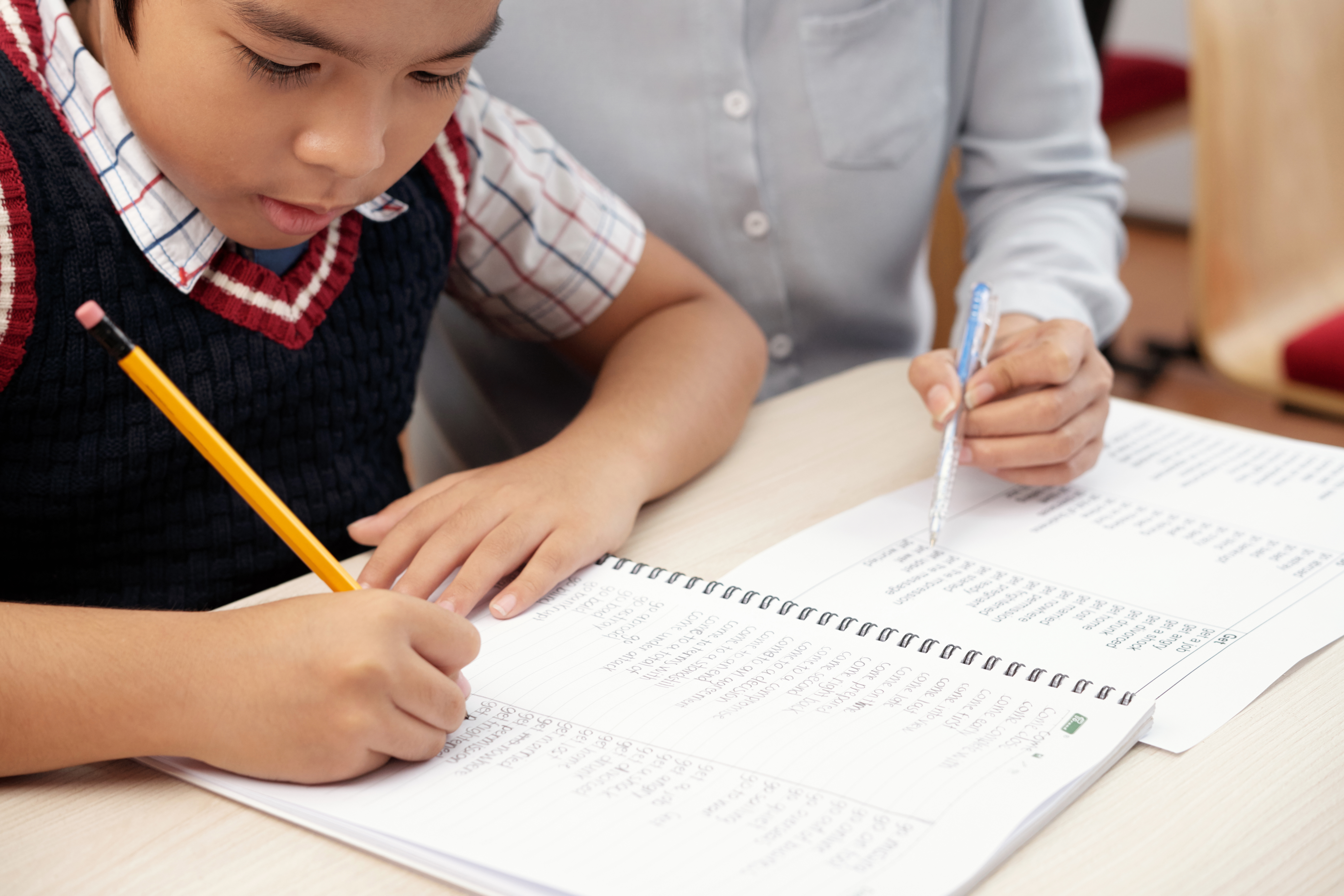 Asian School Boy Studying